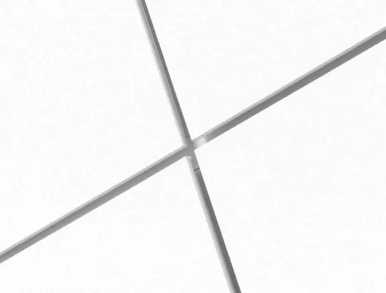 Ecophon Focus Dg